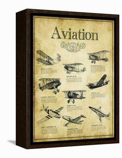 Aviation 2-null-Framed Premier Image Canvas