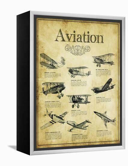 Aviation 2-null-Framed Premier Image Canvas