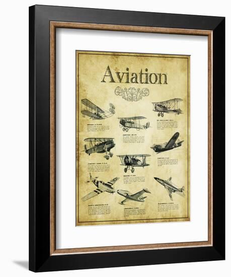 Aviation 2--Framed Giclee Print