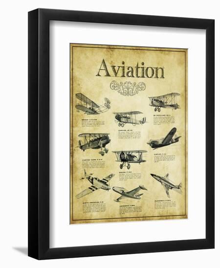 Aviation 2--Framed Giclee Print