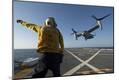 Premium Photographic Print