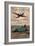 Aviation Hawker Siddeley Cars Aeroplanes Air, UK, 1940-null-Framed Giclee Print