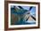 Aviation II-Lee Peterson-Framed Photographic Print