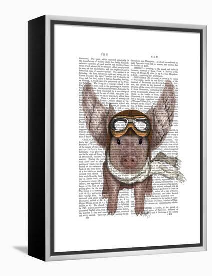 Aviator Piggy-Fab Funky-Framed Stretched Canvas