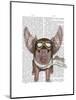 Aviator Piggy-Fab Funky-Mounted Art Print