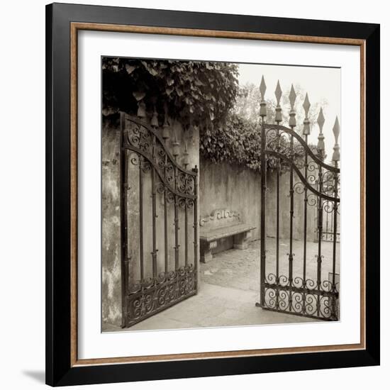 Avignon I-Alan Blaustein-Framed Photographic Print