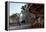 Avignon, Square - Provence, France-Achim Bednorz-Framed Premier Image Canvas