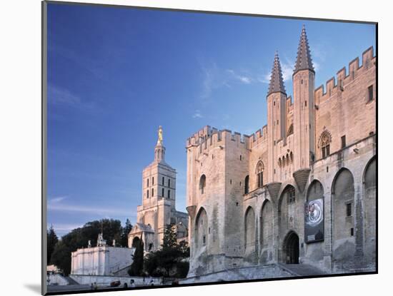 Avignon, Vaucluse, Provence, France-Demetrio Carrasco-Mounted Photographic Print