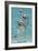 Avila Beach, CA - Dolphins-Lantern Press-Framed Premium Giclee Print