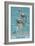 Avila Beach, CA - Dolphins-Lantern Press-Framed Art Print