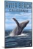 Avila Beach, California - Humpback Whale-Lantern Press-Mounted Art Print