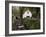 Avoca, County Wicklow, Leinster, Republic of Ireland (Eire)-Sergio Pitamitz-Framed Photographic Print