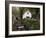 Avoca, County Wicklow, Leinster, Republic of Ireland (Eire)-Sergio Pitamitz-Framed Photographic Print