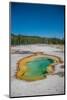 Avoca Spring, Yellowstone National Park, Wyoming, USA-Roddy Scheer-Mounted Photographic Print