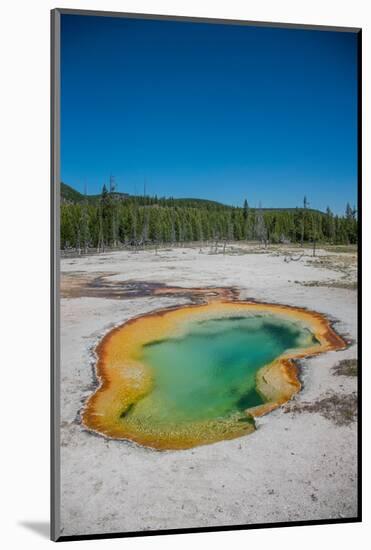 Avoca Spring, Yellowstone National Park, Wyoming, USA-Roddy Scheer-Mounted Photographic Print