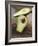 Avocado, Halved, on Old Chopping Board-Jo Kirchherr-Framed Photographic Print