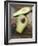 Avocado, Halved, on Old Chopping Board-Jo Kirchherr-Framed Photographic Print