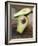 Avocado, Halved, on Old Chopping Board-Jo Kirchherr-Framed Photographic Print