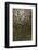 Avocado Skin-Steve Gadomski-Framed Photographic Print