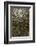 Avocado Skin-Steve Gadomski-Framed Photographic Print