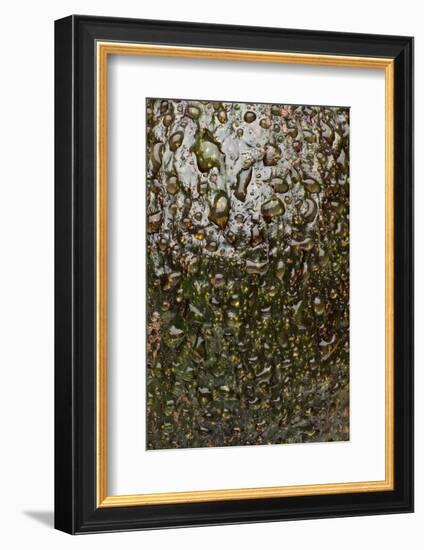 Avocado Skin-Steve Gadomski-Framed Photographic Print