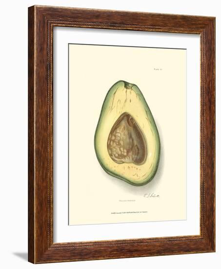 Avocado-null-Framed Art Print