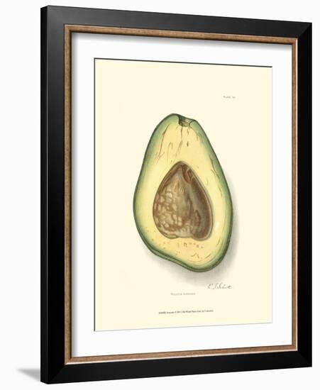 Avocado-null-Framed Art Print