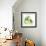 Avocado-Wolf Heart Illustrations-Framed Giclee Print displayed on a wall