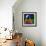 Avocados galore-Patricia Brintle-Framed Giclee Print displayed on a wall