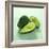 Avocados-David Munns-Framed Premium Photographic Print