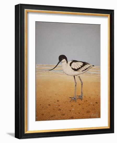 Avocet, 2016-Pat Scott-Framed Giclee Print