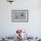 Avocet (Recurvirostra Avosetta) Feeding Along Side a Redshank (Tringa Totanus), Brownsea Island, UK-Bertie Gregory-Framed Photographic Print displayed on a wall