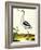 Avocet, Recurvitostra Avosetta-Georges-Louis Buffon-Framed Giclee Print