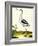 Avocet, Recurvitostra Avosetta-Georges-Louis Buffon-Framed Giclee Print