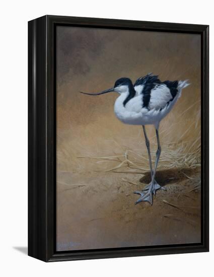 Avocet-Michael Jackson-Framed Premier Image Canvas