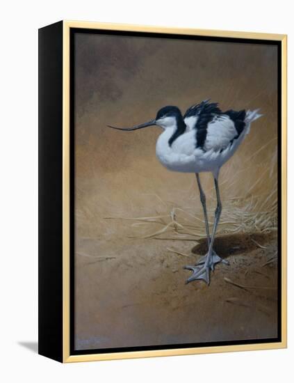 Avocet-Michael Jackson-Framed Premier Image Canvas