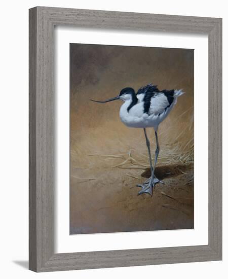 Avocet-Michael Jackson-Framed Giclee Print