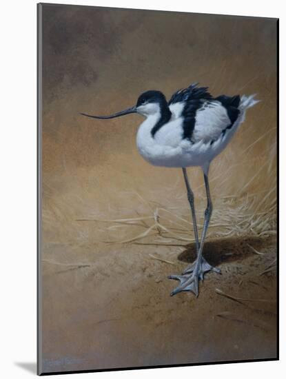 Avocet-Michael Jackson-Mounted Giclee Print