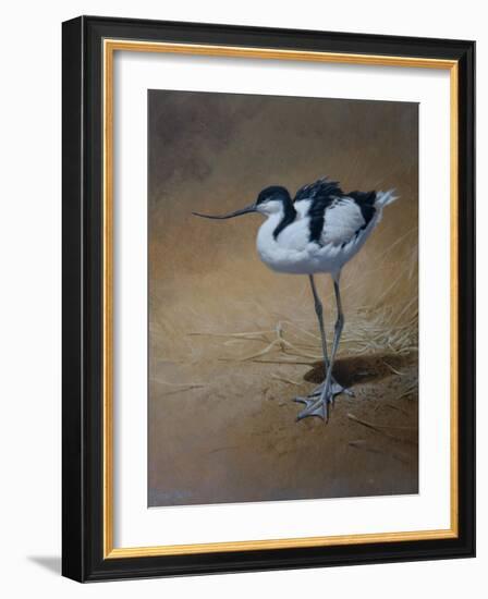 Avocet-Michael Jackson-Framed Giclee Print