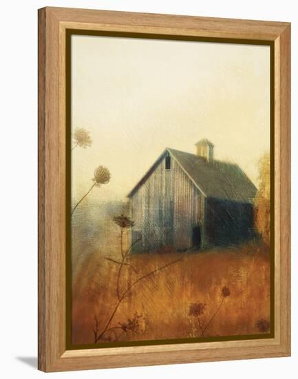 Avonlea II-Amy Melious-Framed Stretched Canvas