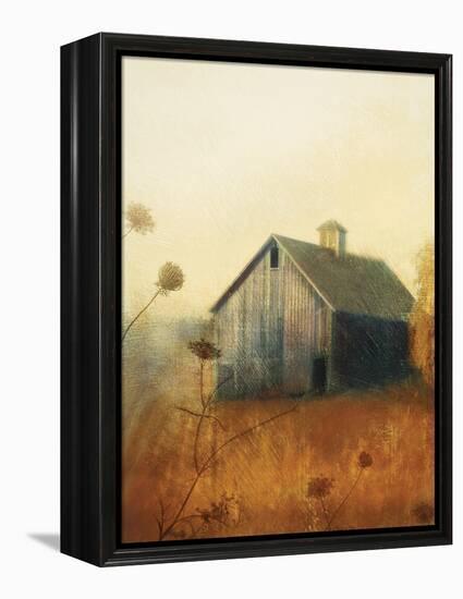 Avonlea II-Amy Melious-Framed Stretched Canvas