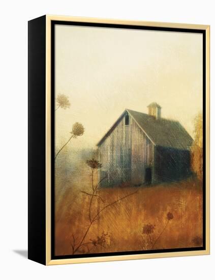 Avonlea II-Amy Melious-Framed Stretched Canvas