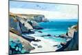 Premium Giclee Print