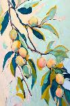 Peach Fruit Branch-Avril Anouilh-Framed Art Print