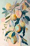 Peach Fruit Branch-Avril Anouilh-Art Print