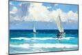 Premium Giclee Print