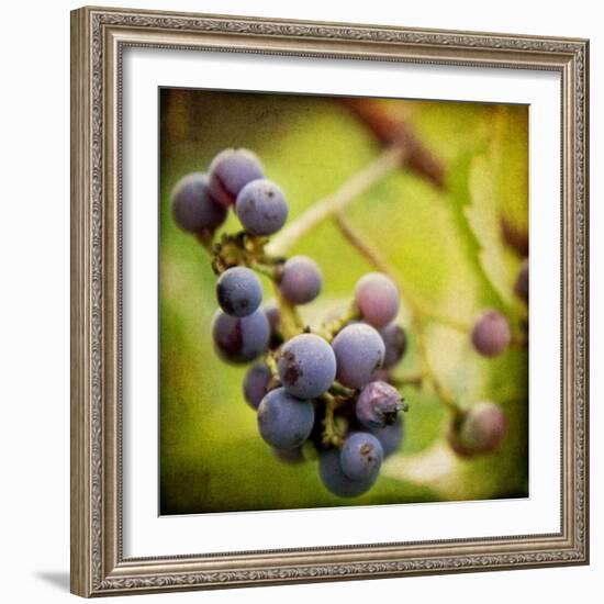 Awaiting Harvest-Jessica Rogers-Framed Giclee Print