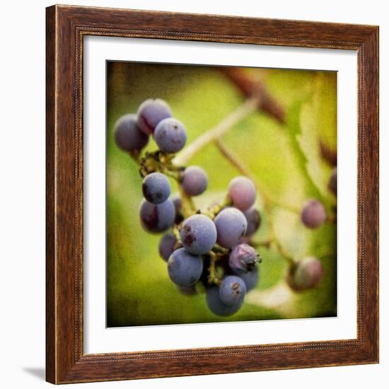 Awaiting Harvest-Jessica Rogers-Framed Giclee Print