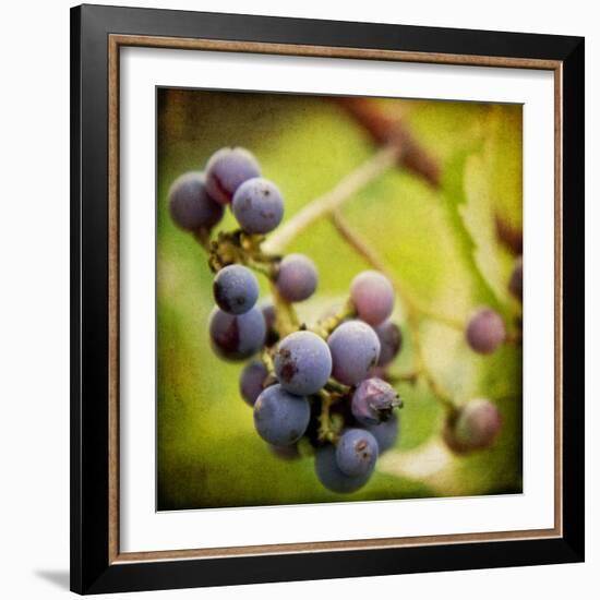 Awaiting Harvest-Jessica Rogers-Framed Giclee Print