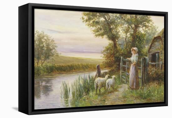 Awaiting the Return of the Sheep in the Sunset-Ernest Walbourn-Framed Premier Image Canvas